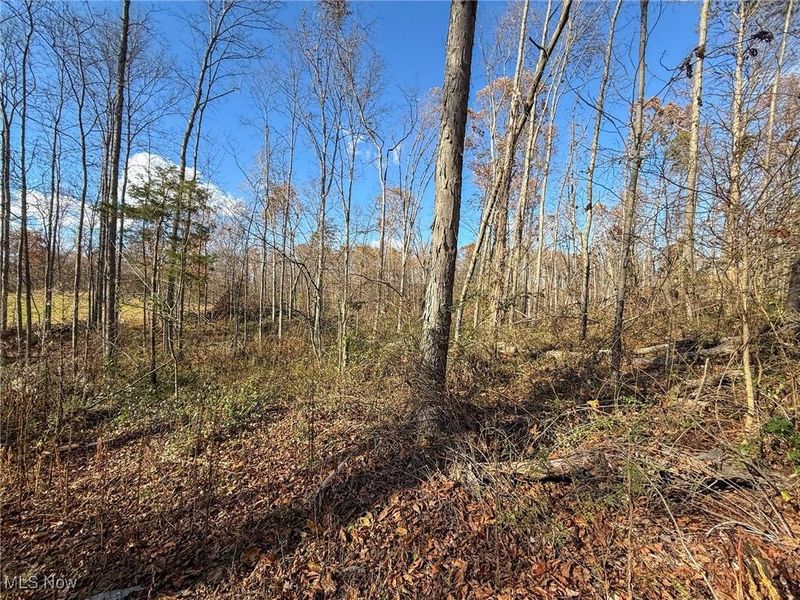 Kern Rd, Waterford, OH 45786 Photo 17