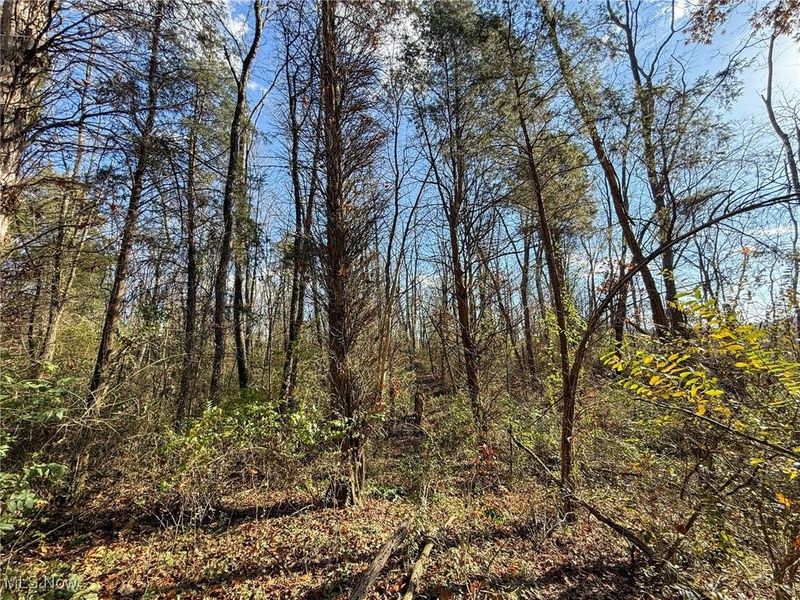 Kern Rd, Waterford, OH 45786 Photo 18