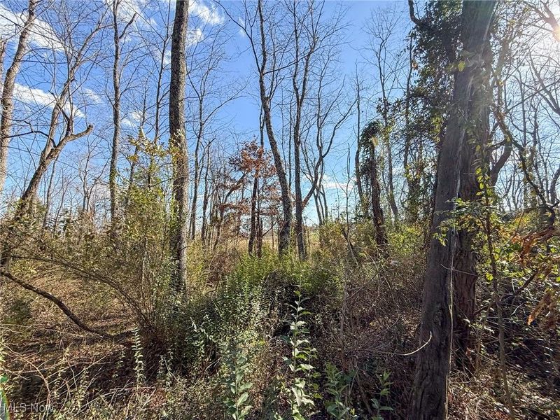 Kern Rd, Waterford, OH 45786 Photo 21