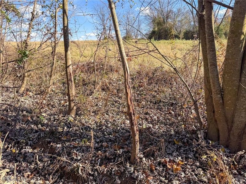 Kern Rd, Waterford, OH 45786 Photo 6