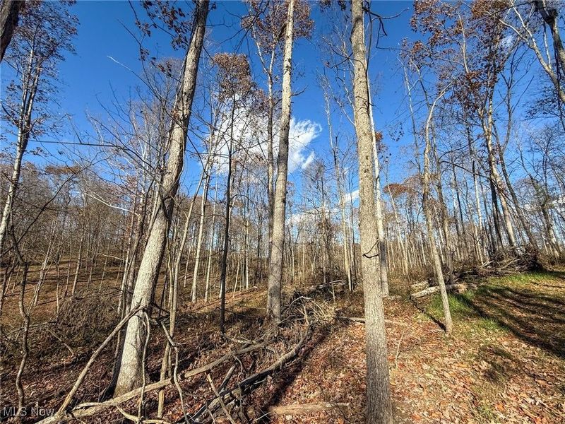 Kern Rd, Waterford, OH 45786 Photo 8