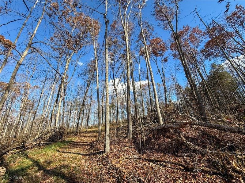 Kern Rd, Waterford, OH 45786 Photo 9