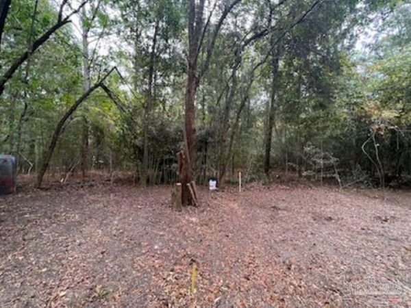1329 Beaver Dam Ln, Bonifay, FL 32425