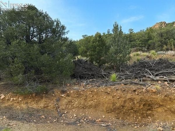 2973 Driftwood Road, Westcliffe, CO 81252