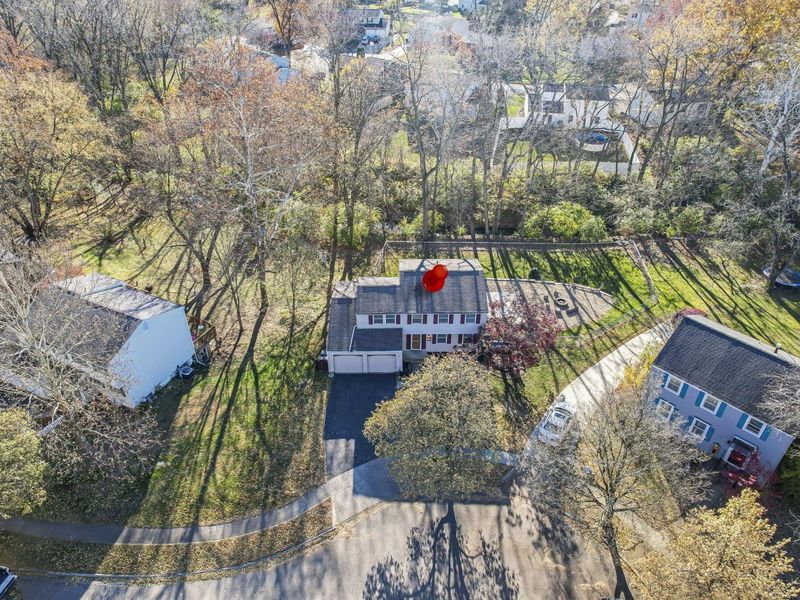 1635 Tendril Court, Columbus, OH 43229 Photo 3