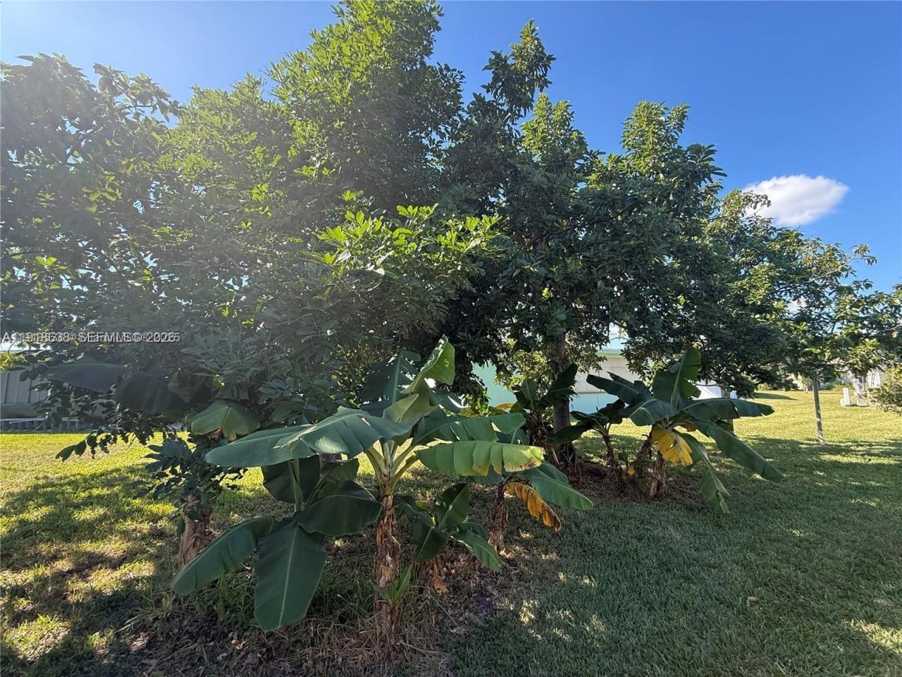 4805 Highland Dr, Tamarac, FL 33319 Photo