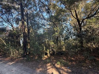 SW 148TH CT 32ND PLACE, OCALA, FL 34481