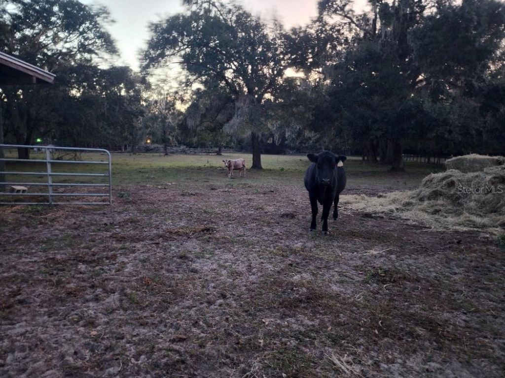 11419 Old Crystal River Road, Brooksville, FL 34601 Photo