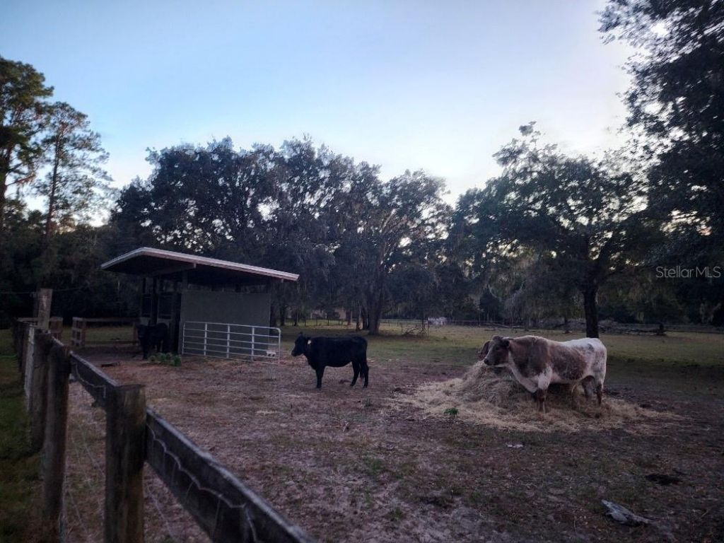 11419 Old Crystal River Road, Brooksville, FL 34601 Photo