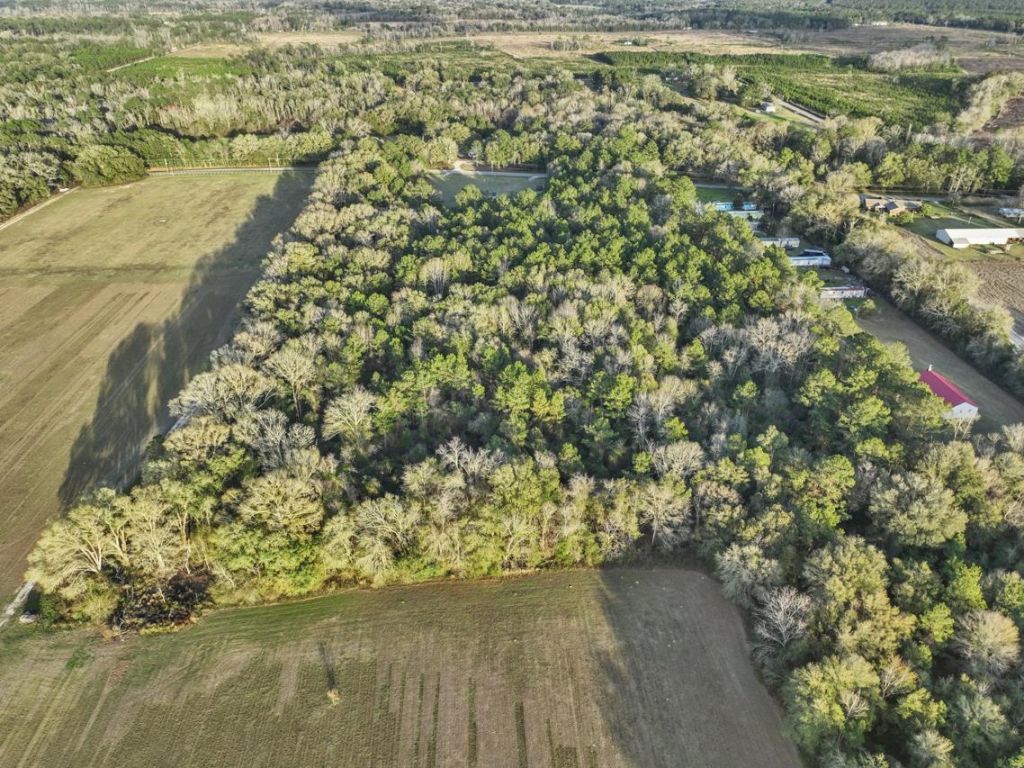 3645 Glory Road, Quincy, FL 32352 Photo