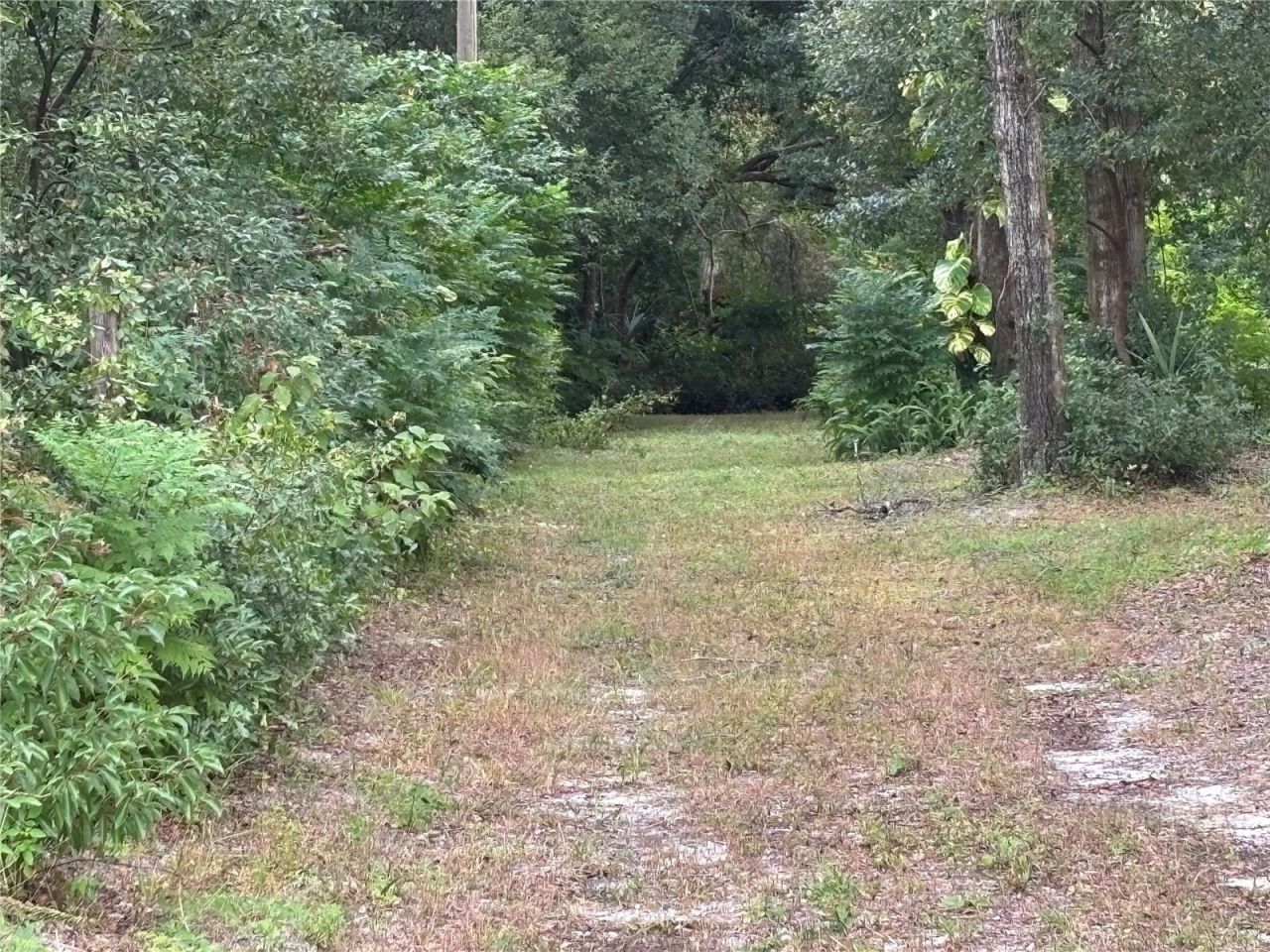 3427 Golden Gem Road, Apopka, FL 32712 Photo