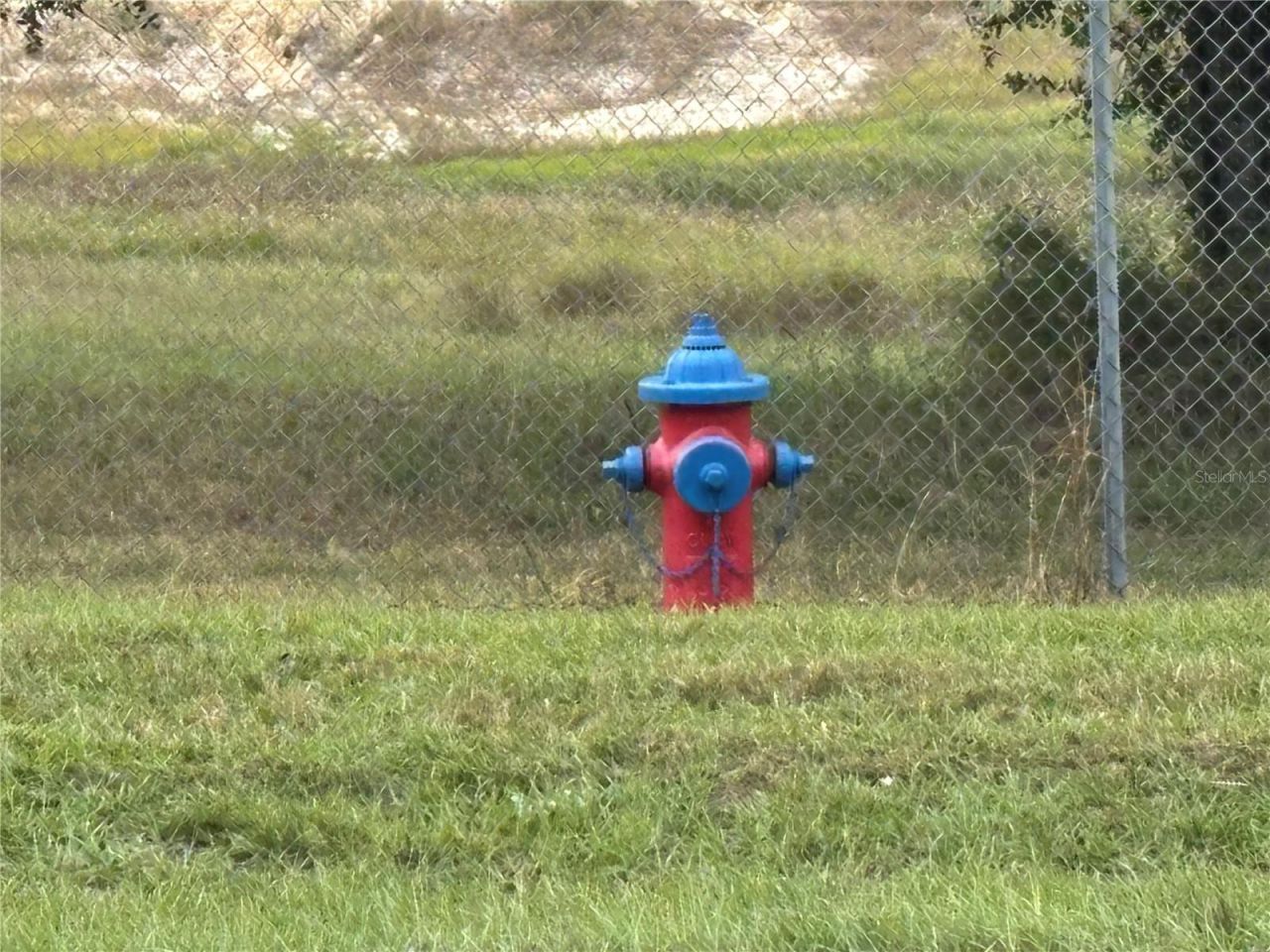 3427 Golden Gem Road, Apopka, FL 32712 Photo