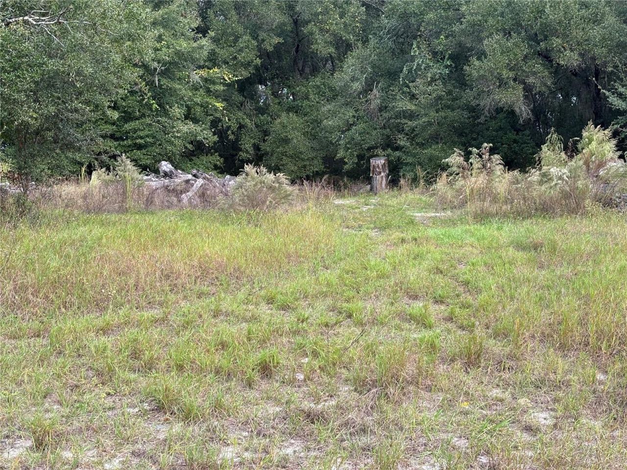 3427 Golden Gem Road, Apopka, FL 32712 Photo