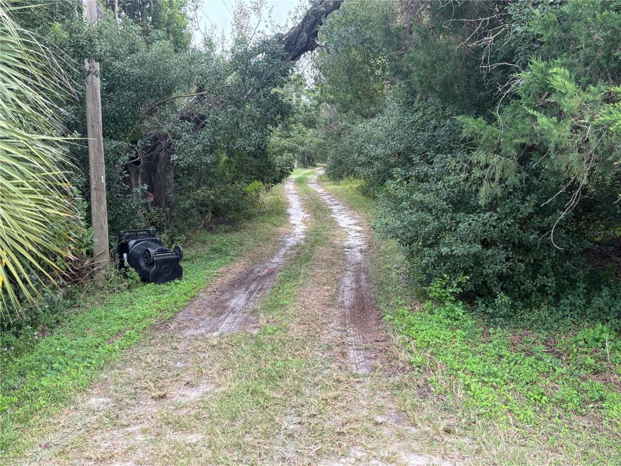 3427 Golden Gem Road, Apopka, FL 32712 Photo