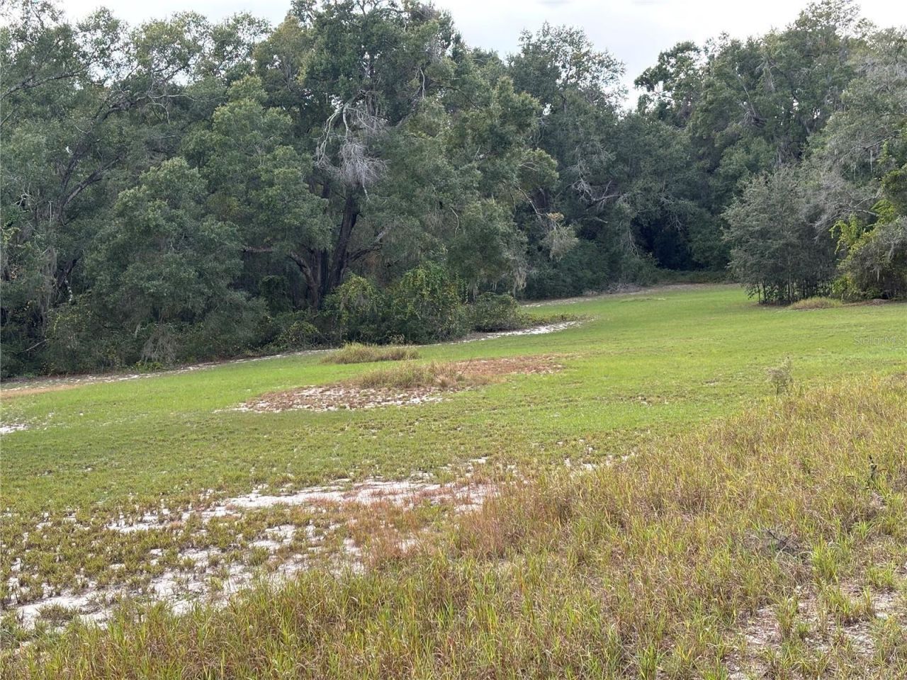 3427 Golden Gem Road, Apopka, FL 32712 Photo