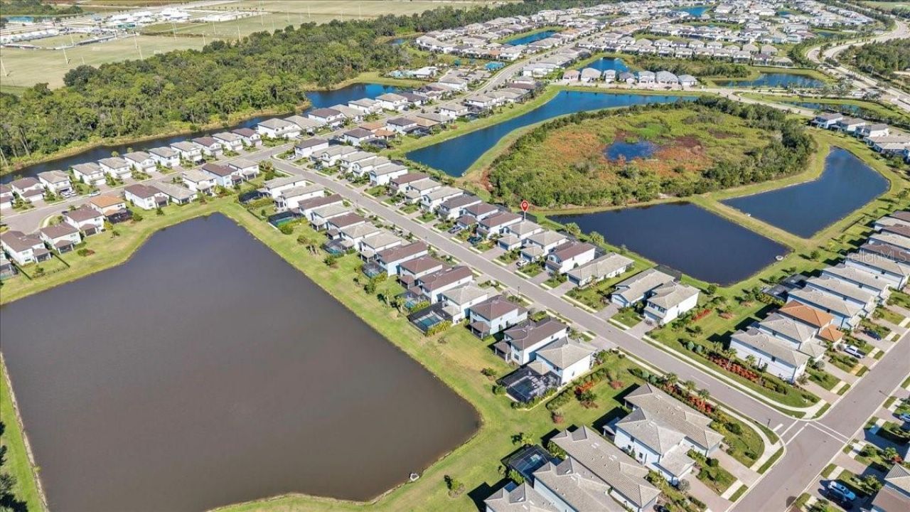 16317 Pine Mist Drive, Lakewood Ranch, FL 34211 Photo