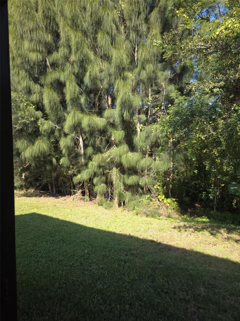 3177 Montserrat Place, Kissimmee, FL 34743 Photo