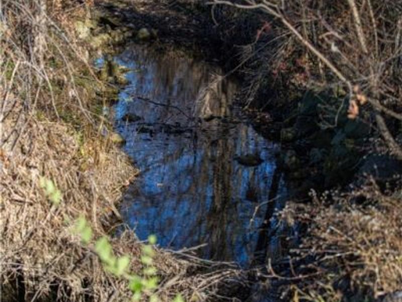 2335 E County Road 36, Tiffin, OH 44883 Photo 32