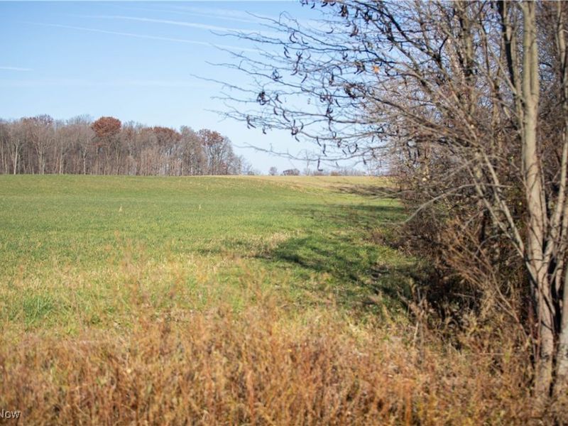 2335 E County Road 36, Tiffin, OH 44883 Photo 5