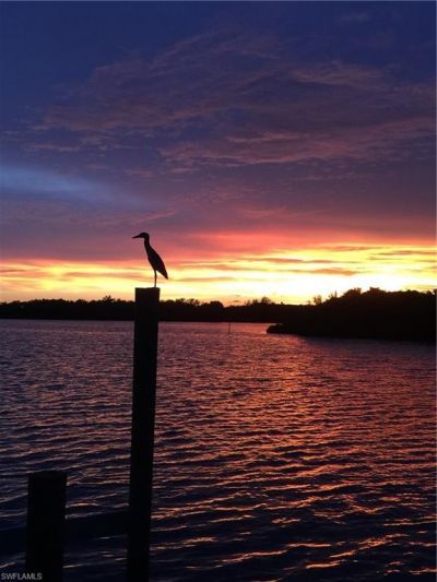 4885 E Riverside Dr, Fort Myers, FL 33905 Photo