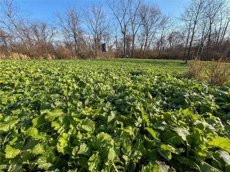 0 Homestead, New Concord, OH 43762 Photo 1