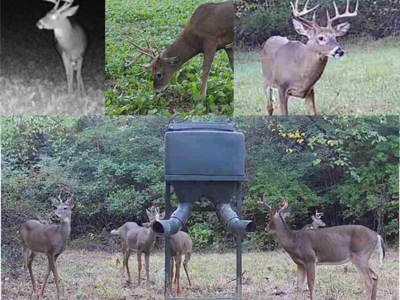 0 Homestead, New Concord, OH 43762 Photo 11