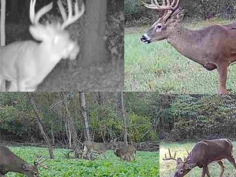 0 Homestead, New Concord, OH 43762 Photo 12