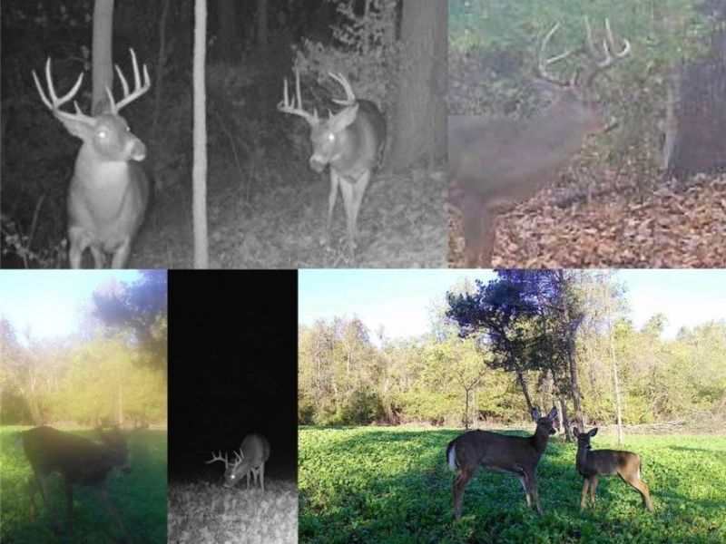 0 Homestead, New Concord, OH 43762 Photo 13