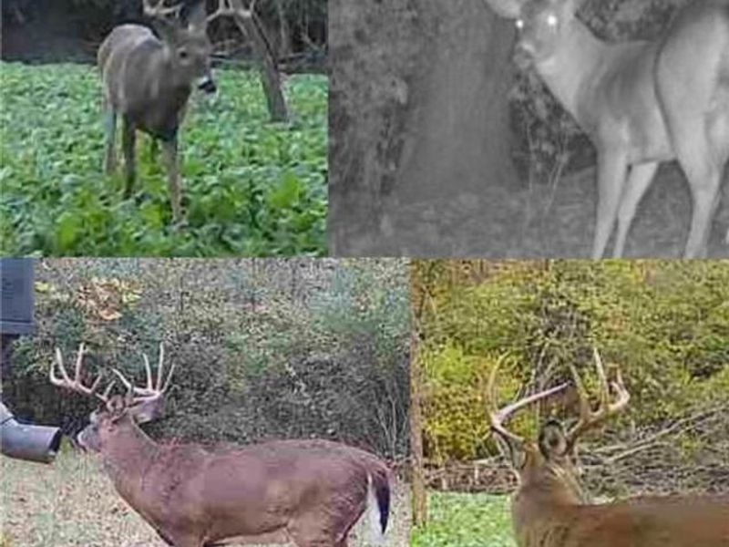 0 Homestead, New Concord, OH 43762 Photo 14