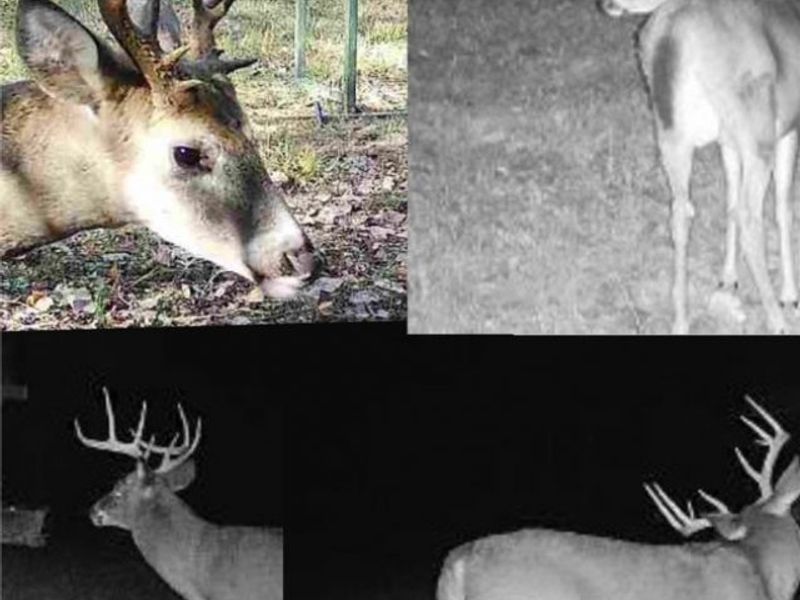 0 Homestead, New Concord, OH 43762 Photo 15