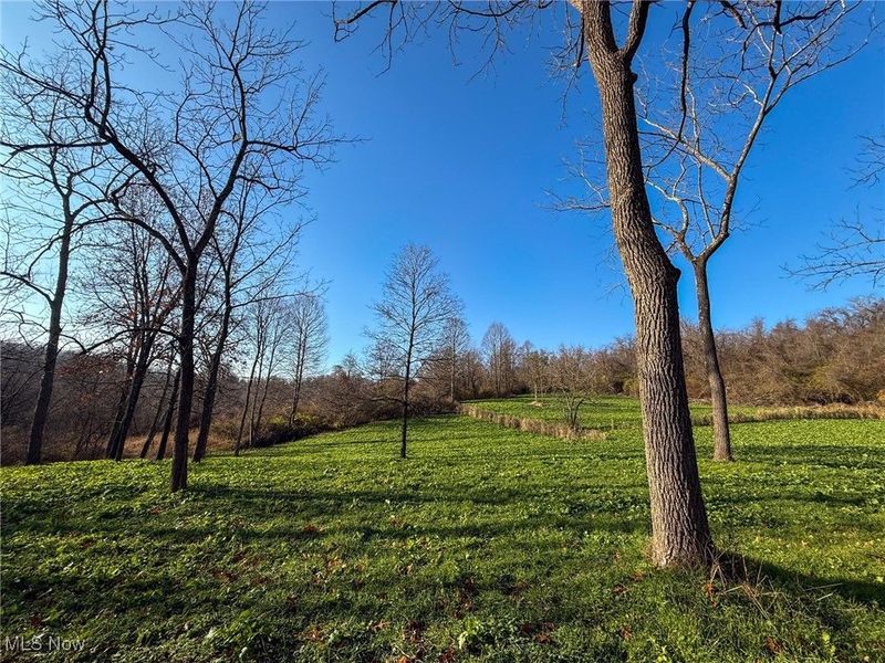 0 Homestead, New Concord, OH 43762 Photo 18