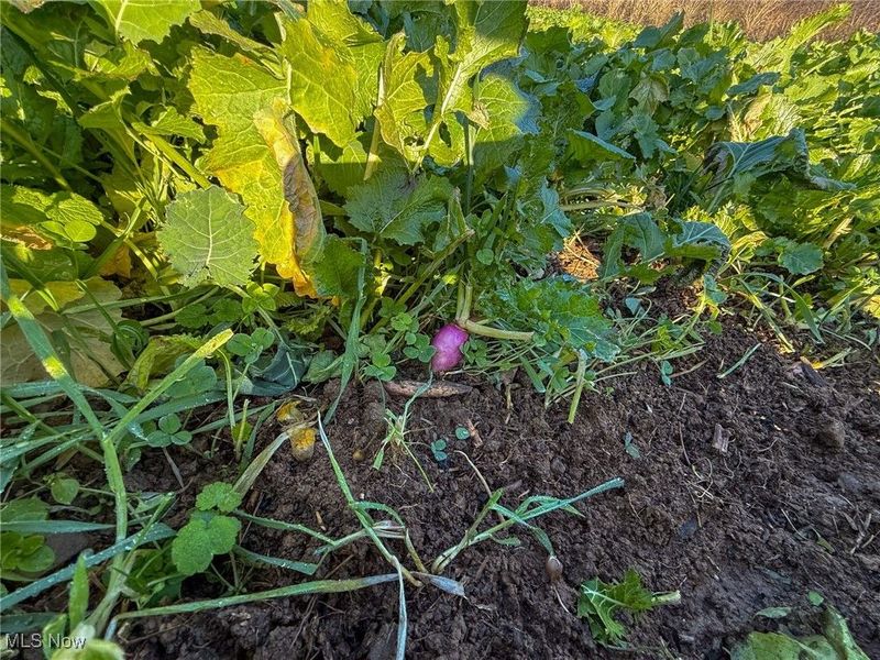 0 Homestead, New Concord, OH 43762 Photo 2