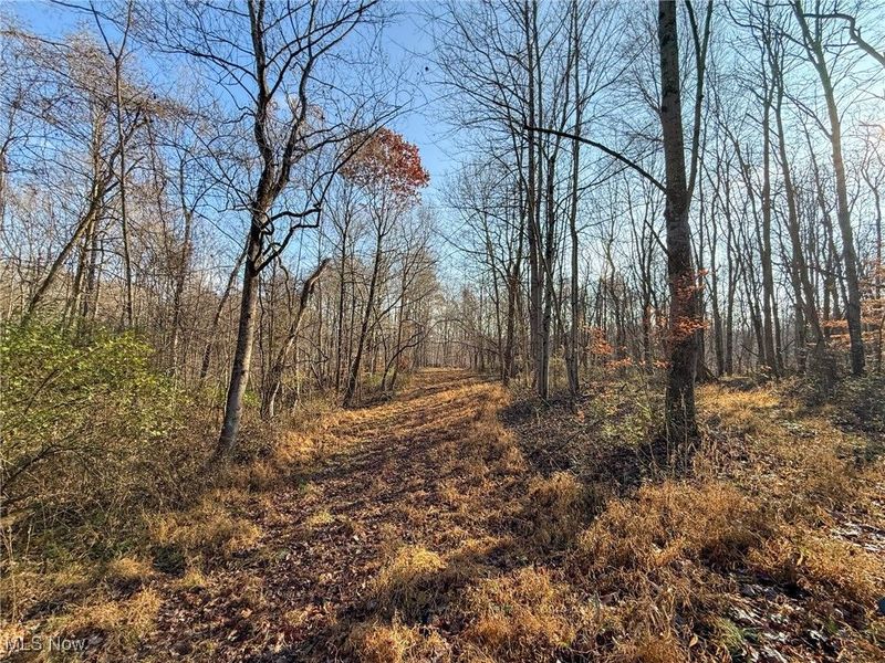 0 Homestead, New Concord, OH 43762 Photo 21