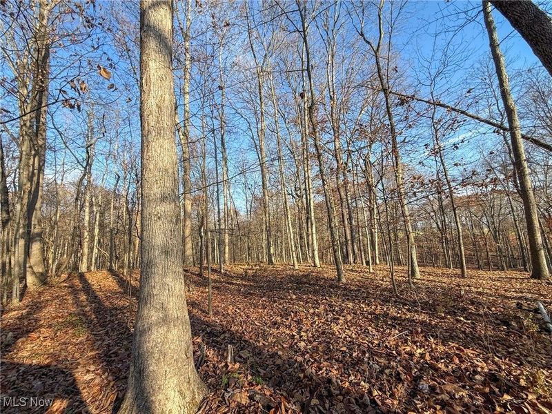 0 Homestead, New Concord, OH 43762 Photo 22