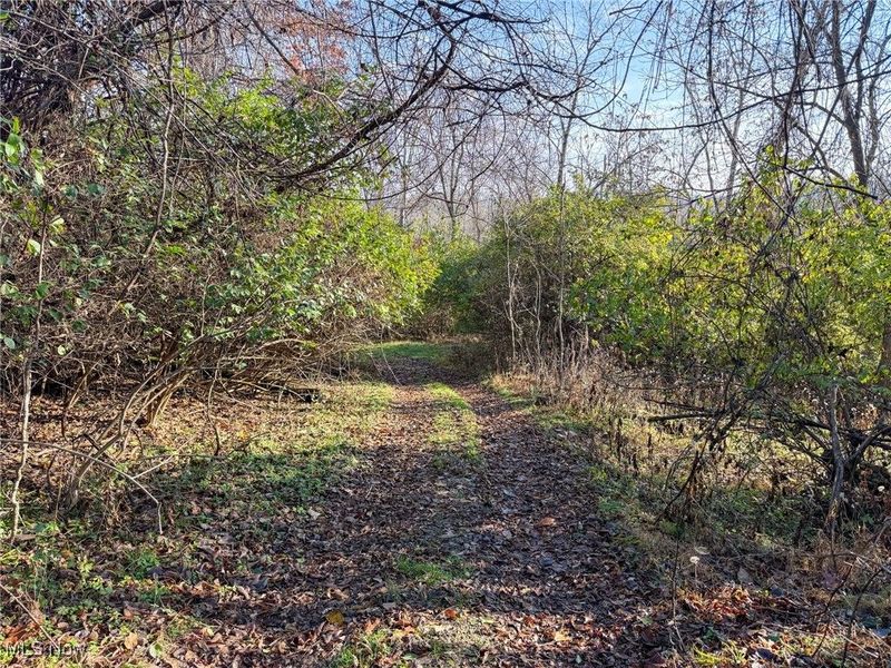 0 Homestead, New Concord, OH 43762 Photo 24