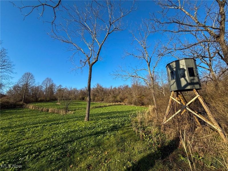 0 Homestead, New Concord, OH 43762 Photo 25