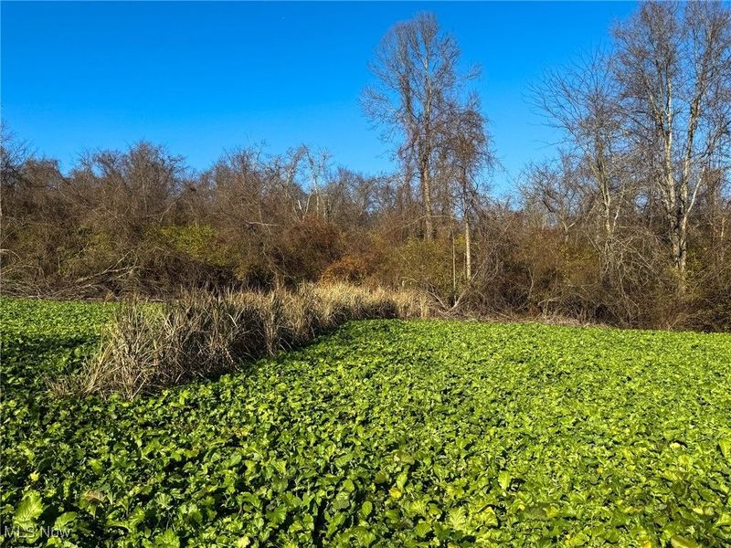 0 Homestead, New Concord, OH 43762 Photo 26