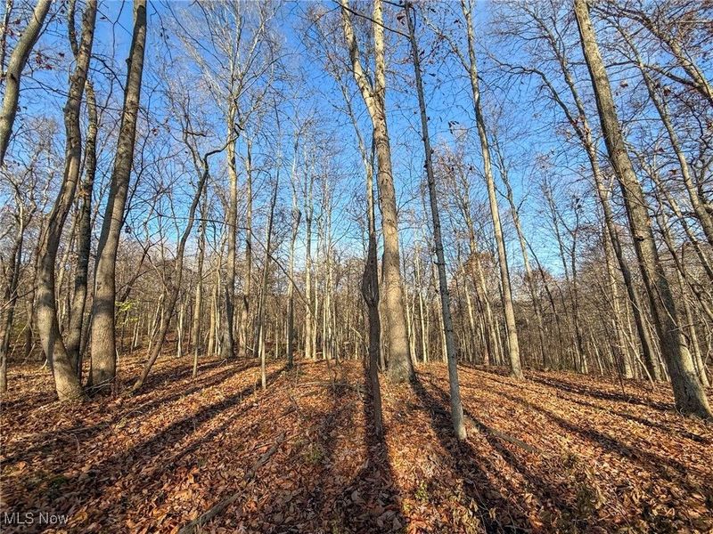 0 Homestead, New Concord, OH 43762 Photo 28