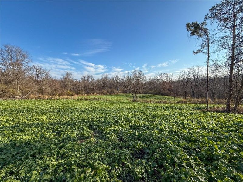 0 Homestead, New Concord, OH 43762 Photo 3