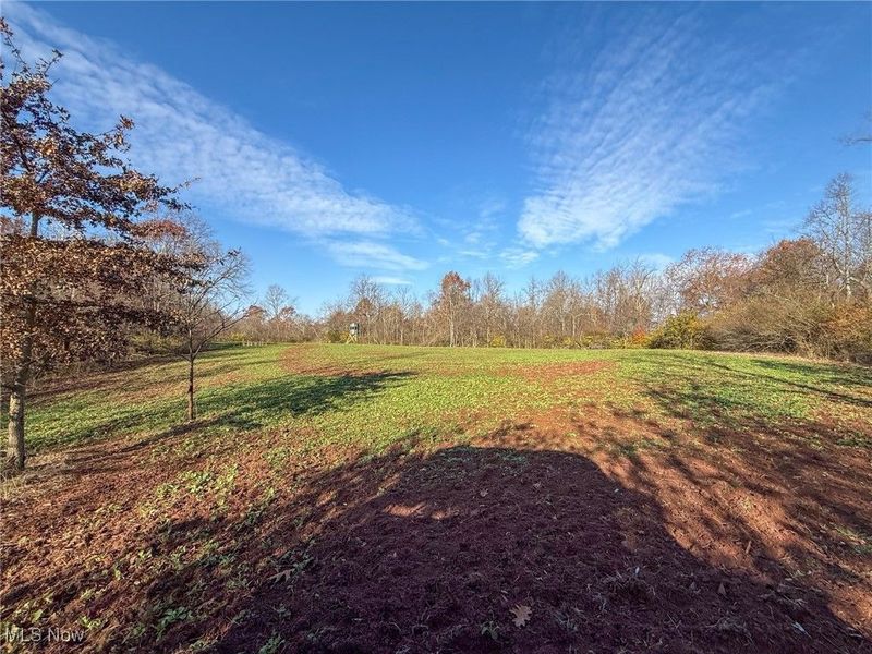 0 Homestead, New Concord, OH 43762 Photo 30