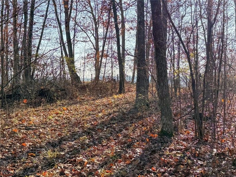 0 Homestead, New Concord, OH 43762 Photo 31