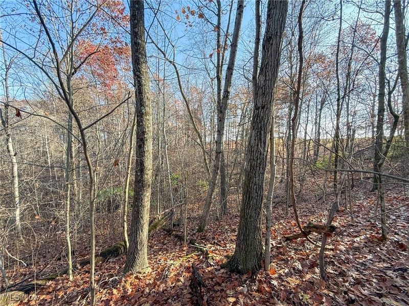 0 Homestead, New Concord, OH 43762 Photo 33