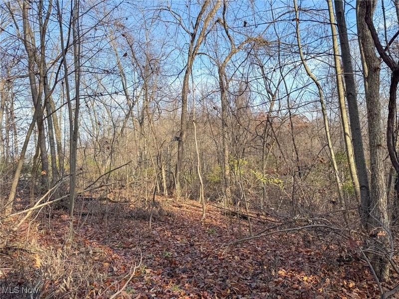 0 Homestead, New Concord, OH 43762 Photo 34