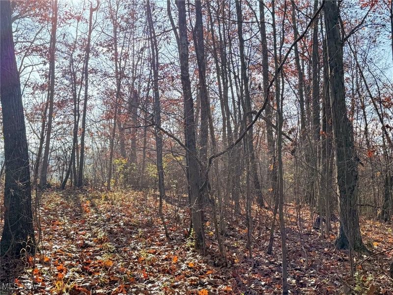 0 Homestead, New Concord, OH 43762 Photo 35