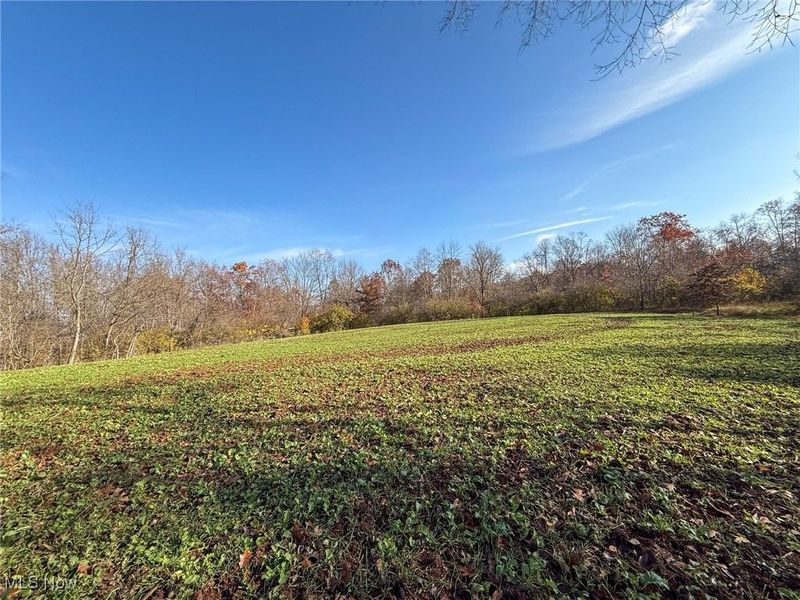 0 Homestead, New Concord, OH 43762 Photo 37