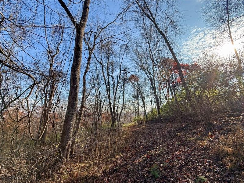 0 Homestead, New Concord, OH 43762 Photo 38