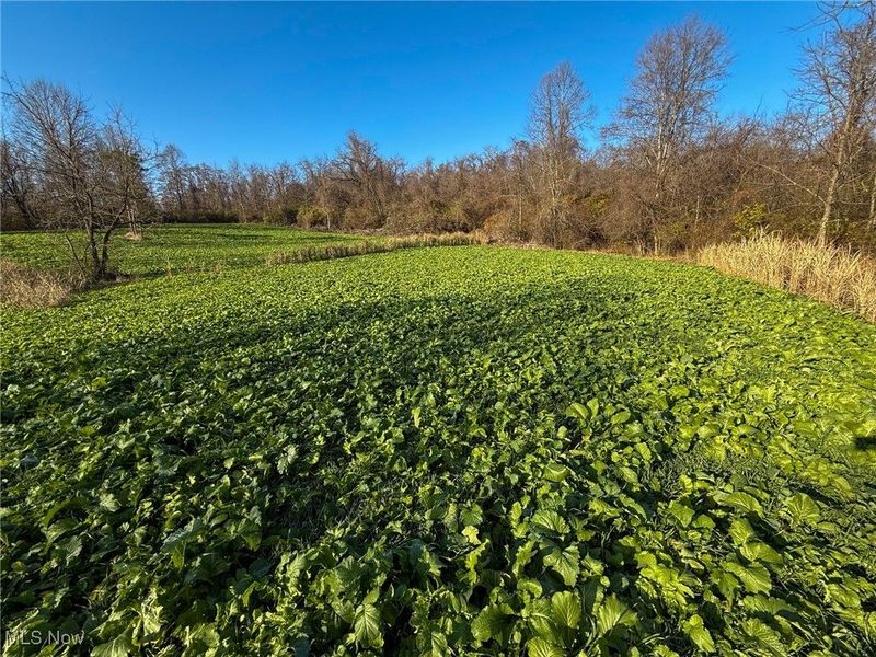 0 Homestead, New Concord, OH 43762 Photo 39