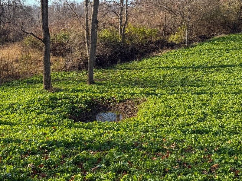 0 Homestead, New Concord, OH 43762 Photo 4