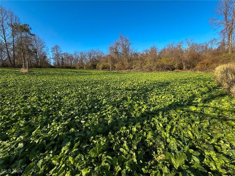 0 Homestead, New Concord, OH 43762 Photo 40