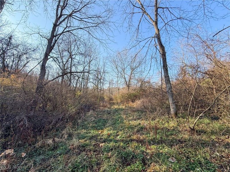 0 Homestead, New Concord, OH 43762 Photo 42